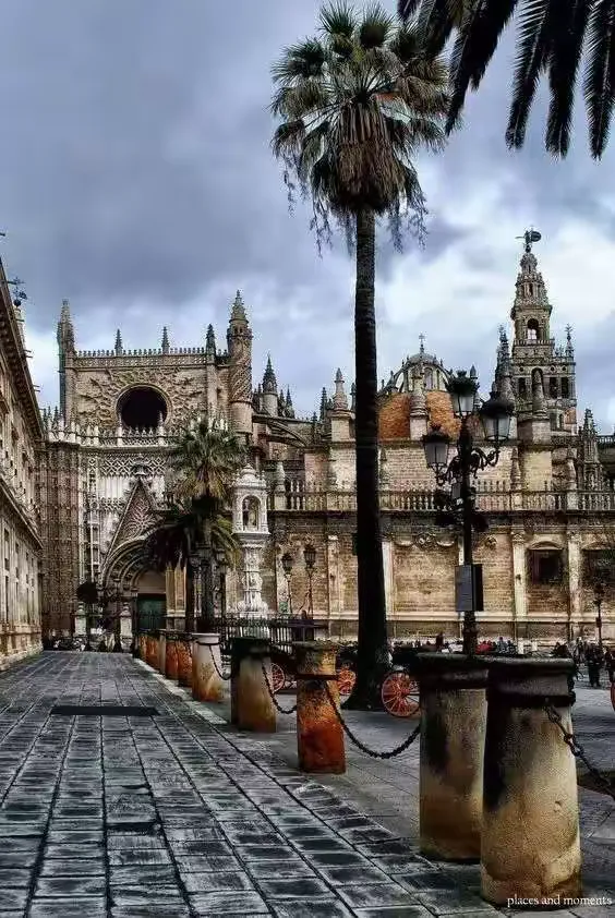 关于塞维利亚轻取摩洛哥,哈兰德高光表现的信息 关于塞维利亚轻取摩洛哥,哈兰德高光表现的信息