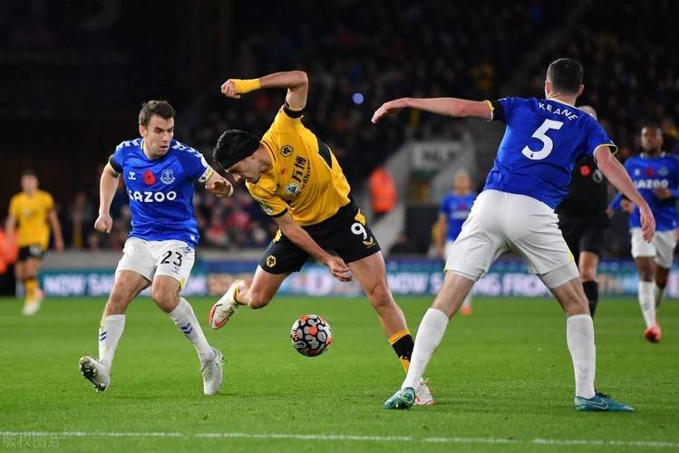 包含狼队客场惜败埃弗顿,遭遇失利的词条 包含狼队客场惜败埃弗顿,遭遇失利的词条