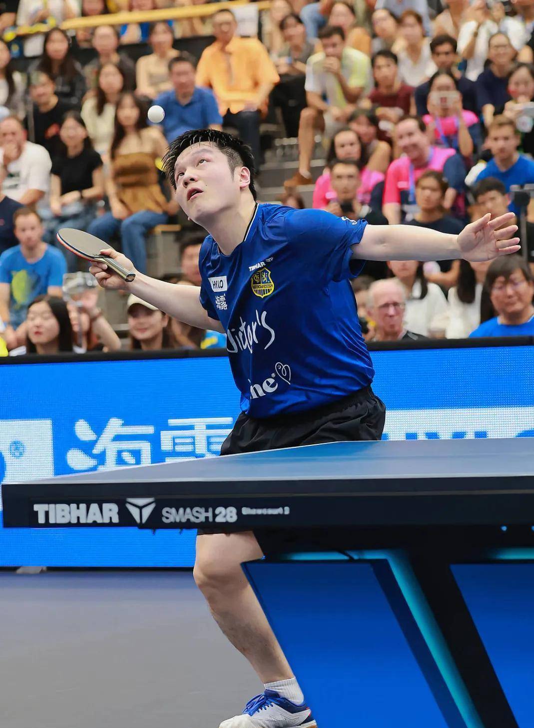 奥地利队碾压德国队，樊振东高光表现的简单介绍