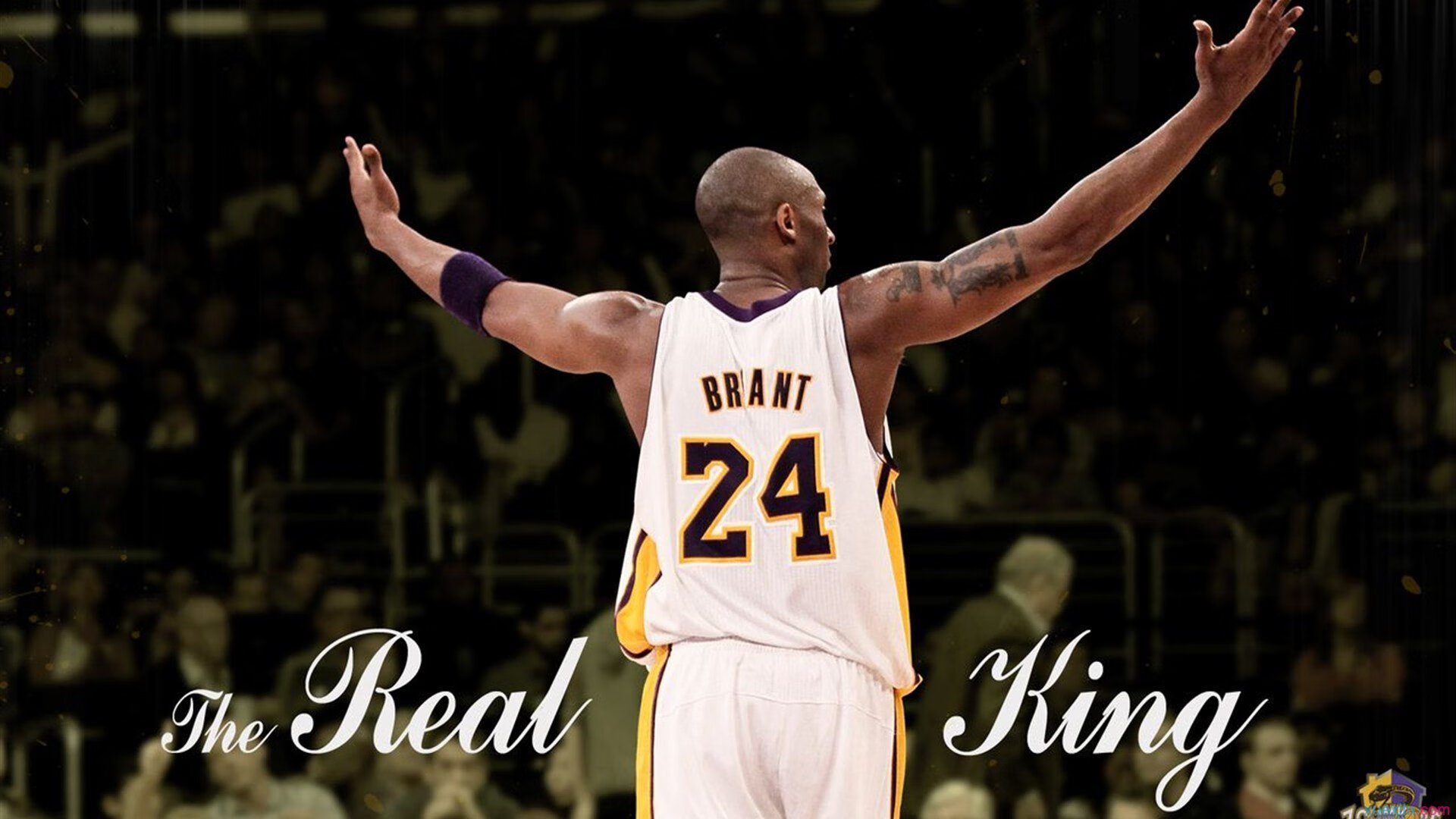 安赛龙独木成林,丹麦队力克印度队彰显团队领袖的非凡价值