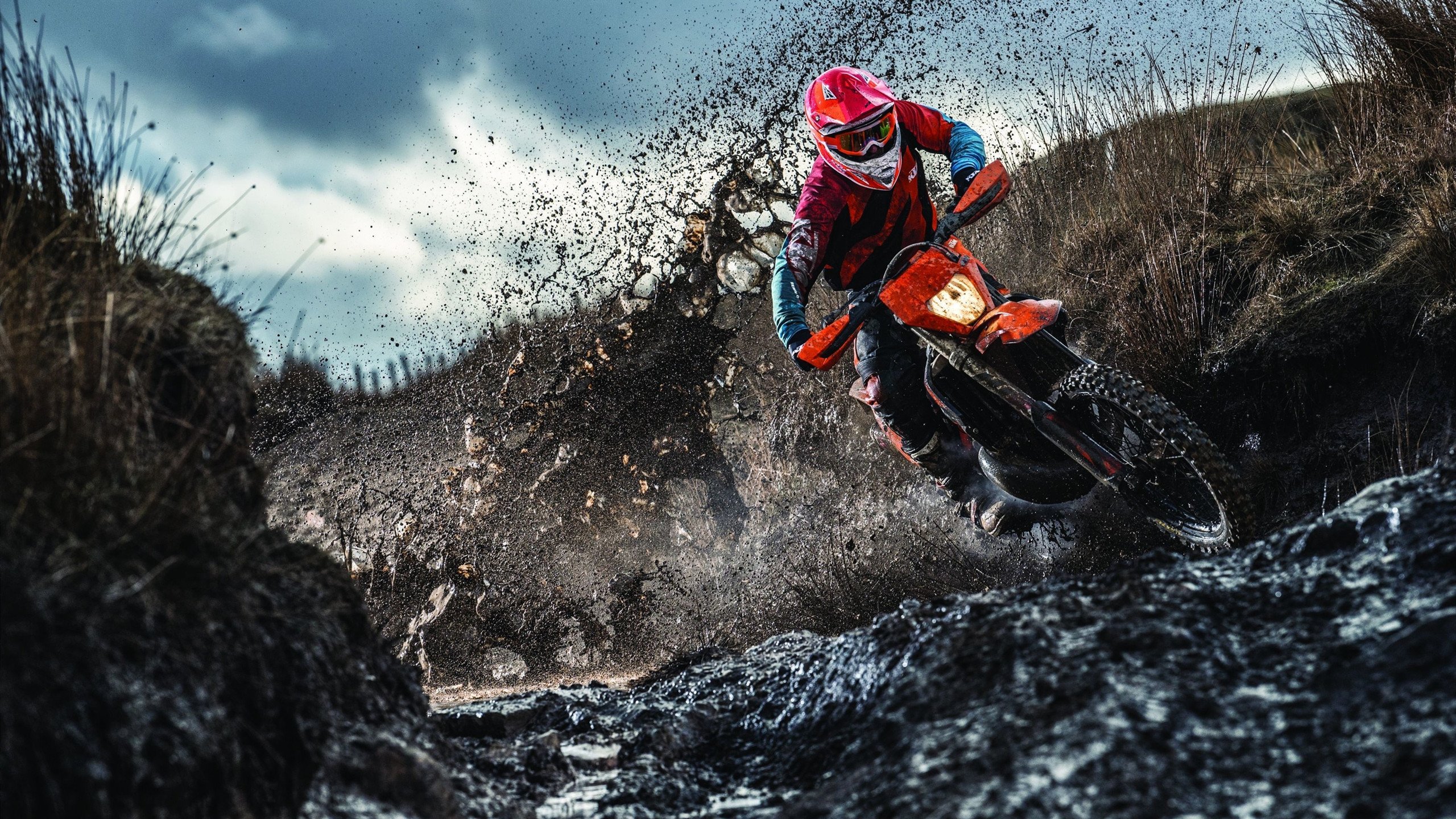 赛道风云,皮亚斯特里关键制胜,索伯车队横扫梅赛德斯